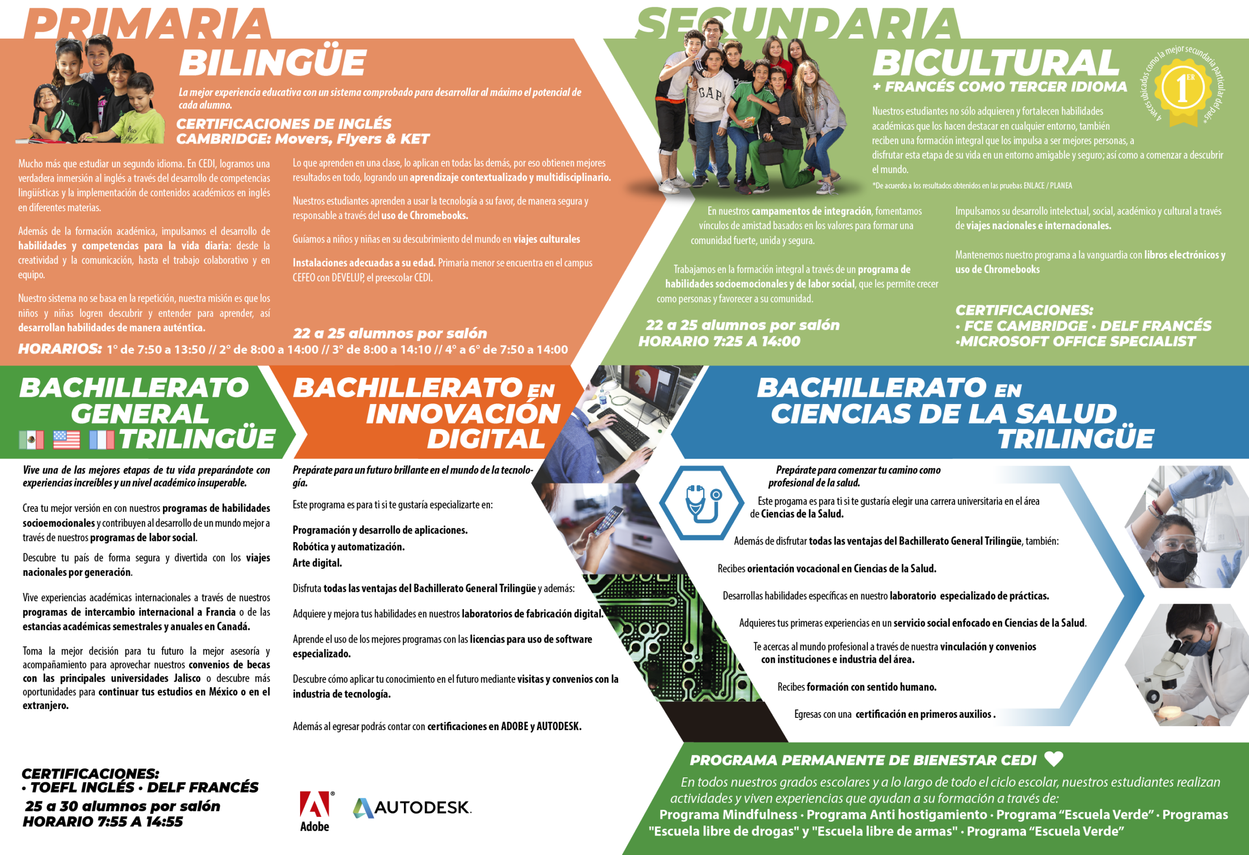 01 CARPETA CEDI V1-03